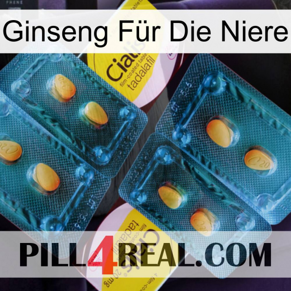 Ginseng Für Die Niere cialis5